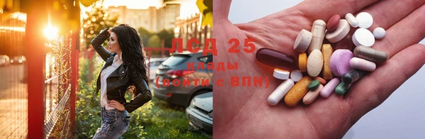 прущие грибы Алзамай