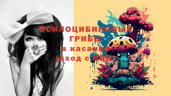 прущие грибы Алзамай