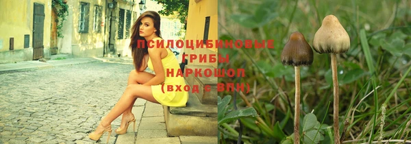 прущие грибы Алзамай