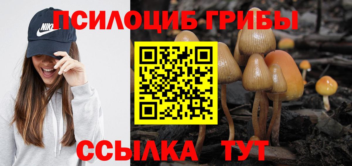 хочу   Галлюциногенные грибы ЛСД  Вход с VPN  Саранск  Галлюциногенные грибы Psilocybine cubensis 