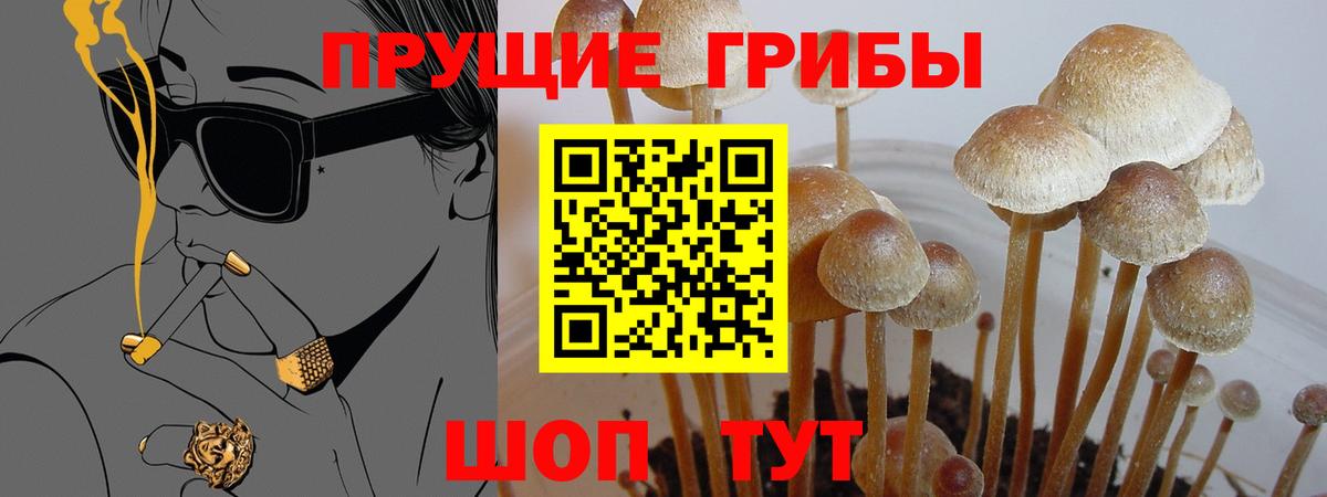 Псилоцибиновые грибы мухоморы Саранск